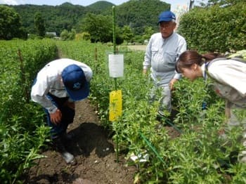 農業者と協議会が連携した生物多様性調査